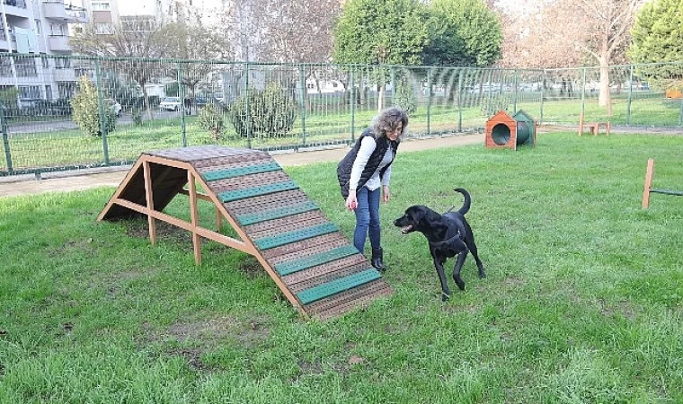 Bayraklı’da evcil hayvanlar için 'Pati Park’