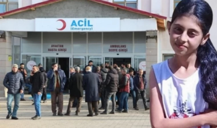 Bingöl’de Helen’in ölümüne neden olan sürücü tutuklandı