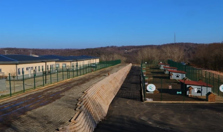 İstanbul Beykoz Hayvan Rehabilitasyon Merkezi’nde 5 yıldızlı konfor