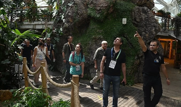 Tropikal Kelebek Bahçesi