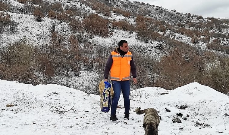 Keçiören’de Karla Mücadele