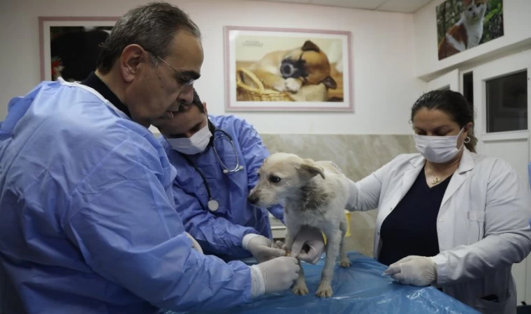 Enkaz altında kalan Hataylı ’Afet’, Gaziantep tedavisinde