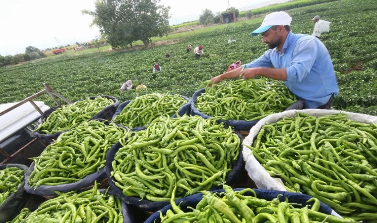 HAGEL Encümeni Bursa Yenişehir’de toplandı