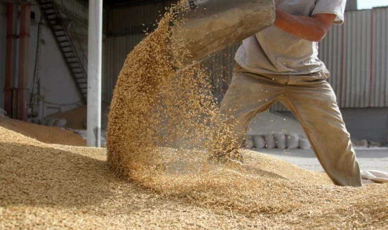 İhracatın yüzde 46’sı hububat bakliyat yağlı tohumlardan