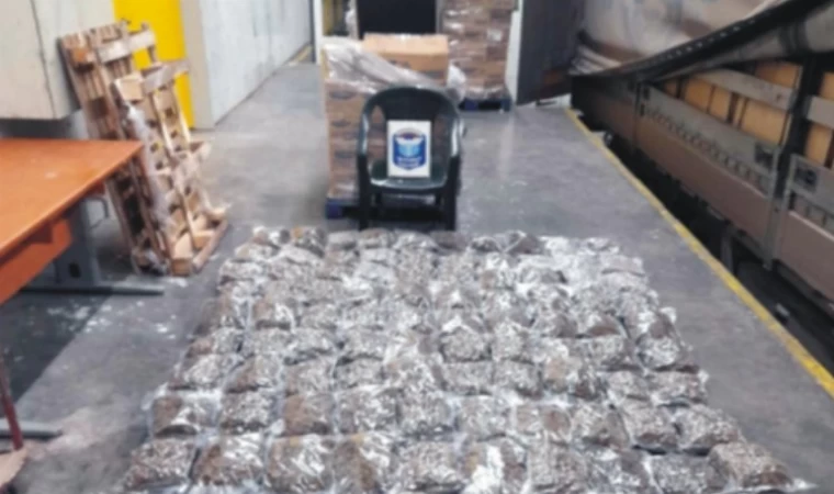 Kapıkule’de bir tırda 50 kg esrar ele geçirildi