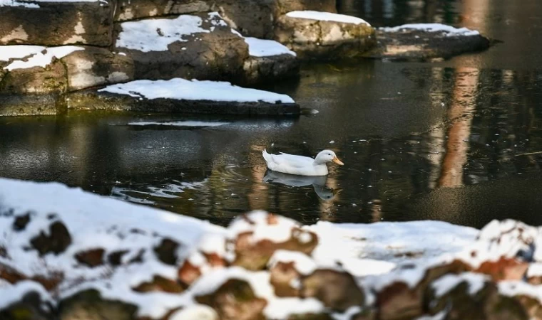 Kayseri’de karla ’büyük’ mücadele