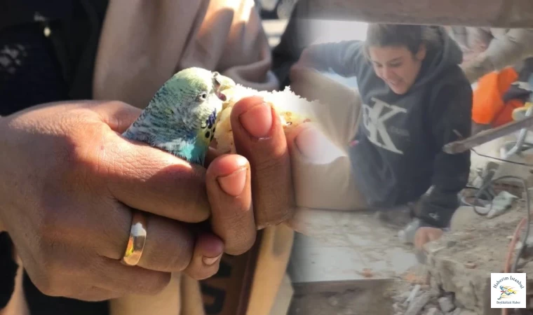 Türkiye'nin mucizeleri...