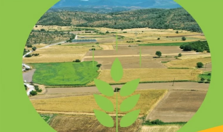 Bodrum’un ’Topraksız Tarım Projesi’ne onay