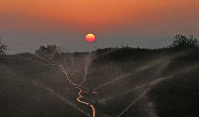 Bursa Yenişehir Ovası’nda kuraklık tehlikesi