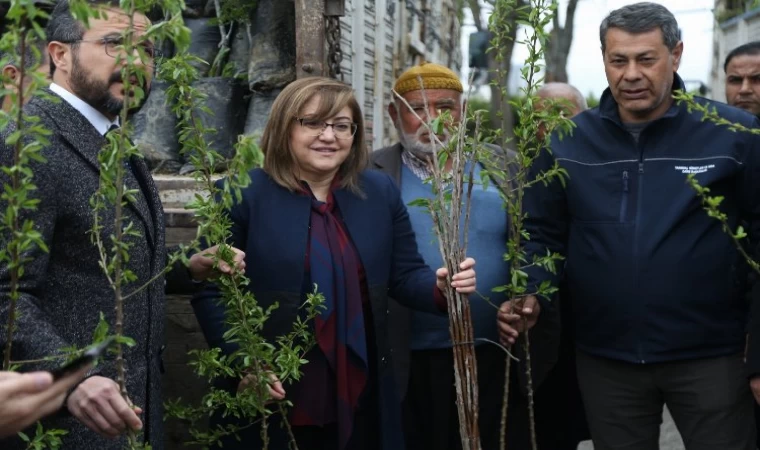 Gaziantep’te kırsaldaki çiftçiye 50 bin fidan
