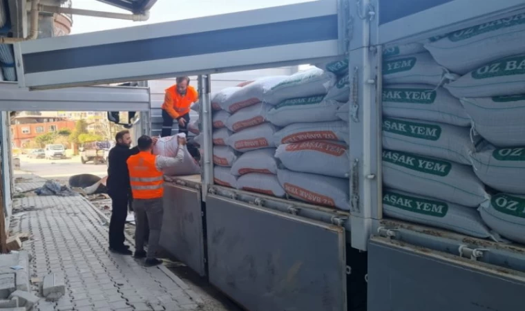 Hayvan üreticilerine yem desteği