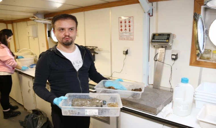 İzmit Körfezi’nde deniz yaşamı kayıt altında