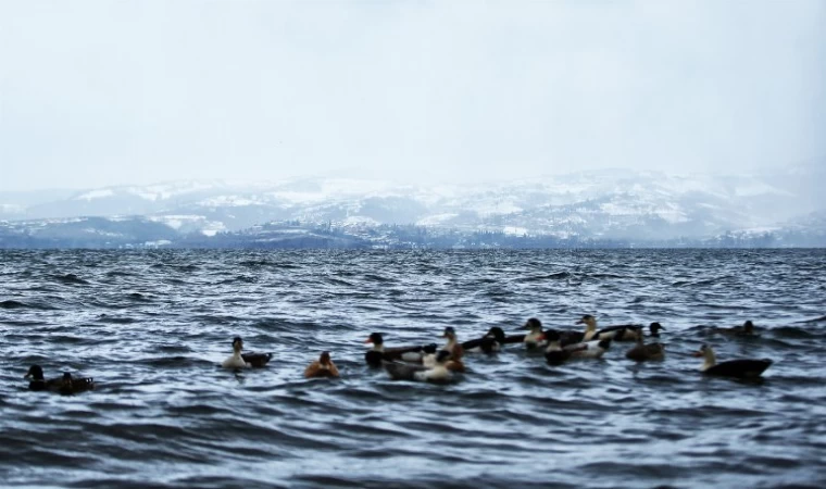 Sakarya’dan rahatlatan açıklama... Sapanca’da seviye yükseldi, risk yok!