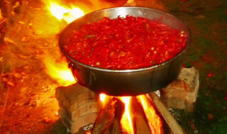 Bursa Yenişehir’in köylerinde kış hazırlığı başladı