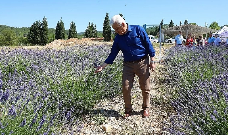 Muğla Büyükşehir Lavanta Bahçesi Yeni Sezona Hazır