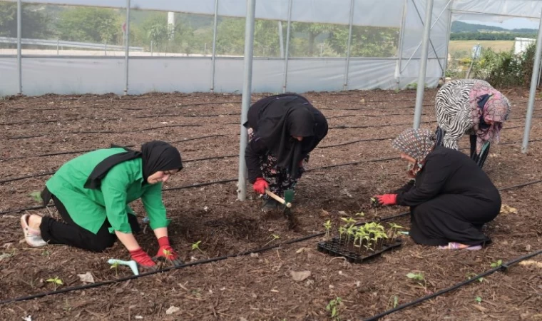 Kocaeli’den kadın girişimcilere tarımsal destek... Ata tohumları toprakla buluşturuldu