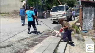 Başakşehir'de Pitbull Saldırısı