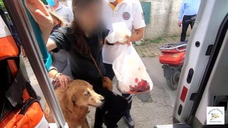 Hastahaneye Kadar Ambulansı Takip Etti!