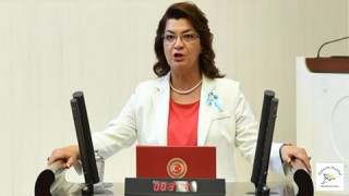 "İstanbul Sözleşmesi'ni yaşatacağız