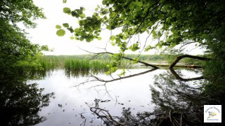 İstanbul'un yanı başındaki "saklı cenneti"