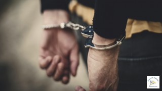 Şişli'de Kediye İşkence Eden Kadın Yakalandı