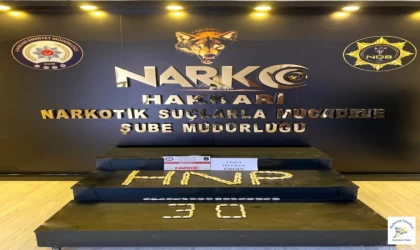 İstanbul'a gelmeden yakalandılar