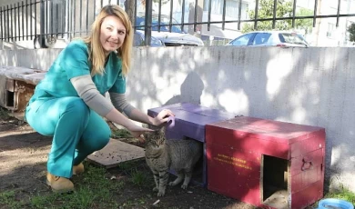 Bayraklı Belediyesi can dostları unutmadı