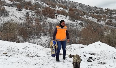 Keçiören’de Karla Mücadele