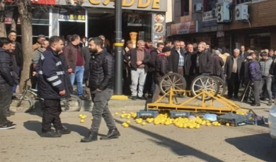 Bingöl’e Zabıta’ya sinirlendi, tezgahını devirdi!