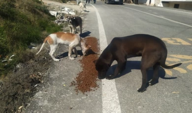 Bursa Hatay’da da her cana yetişmeye çalışıyor