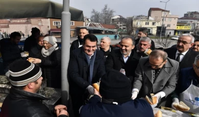 Bursa Osmangazi’de 1 tonluk hamsi festivali