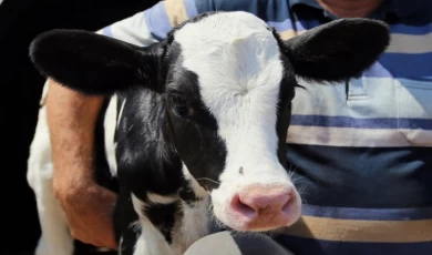 Bursa Yenişehir’de destekleme listeleri askıya çıktı