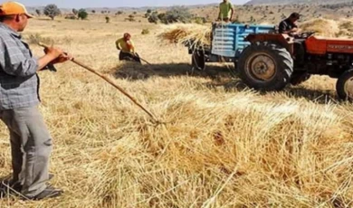 Çiftçilere verimi artıracak altın tavsiyeler