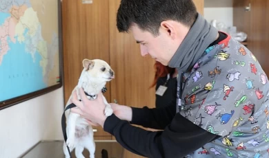 Deprem Bölgesi’nden Getirilen Can Dost Moral Oldu