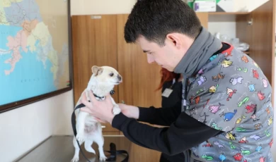 Deprem bölgesinden getirilen Karamel moral oldu