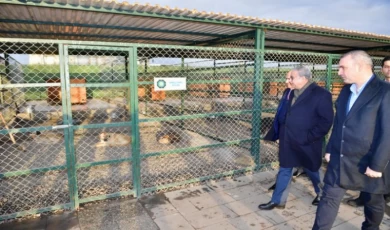 Diyarbakır’da hayvan bakımevine yakın takip