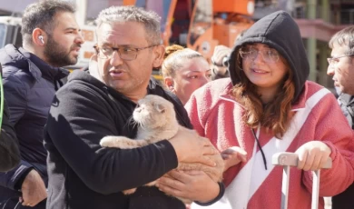 Diyarbakır’da son kedi de kurtarıldı!