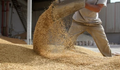 İhracatın yüzde 46’sı hububat bakliyat yağlı tohumlardan