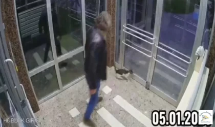 Kedilere şiddet uygulayan şahıs hakkında yakalama kararı