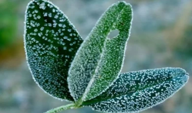 Meteoroloji’den don ve çığ uyarısı