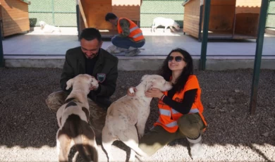 Paw Guards üyelerinden Diyarbakır’a yakın mercek