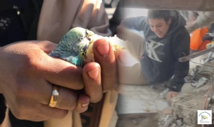 Türkiye'nin mucizeleri...