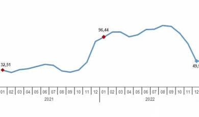 Yurt Dışı Üretici Fiyat Endeksi (YD-ÜFE) yıllık %50,98, aylık %4,00 arttı