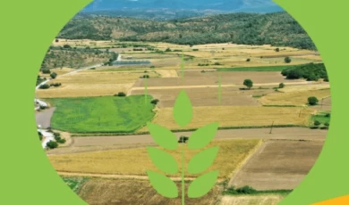 Bodrum’un ’Topraksız Tarım Projesi’ne onay