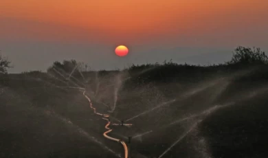 Bursa Yenişehir Ovası’nda kuraklık tehlikesi