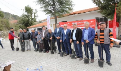 Dalaman’da Kaya İnciri ekimi