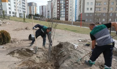 Kayseri Talas’ta ağaçlandırma sezonu açıldı