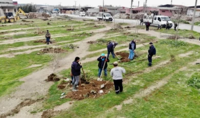 Manisa’da ’yeşil’ atılım