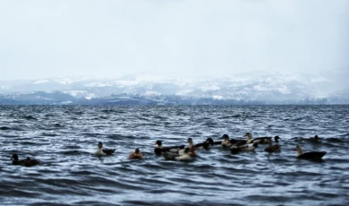 Sakarya’dan rahatlatan açıklama... Sapanca’da seviye yükseldi, risk yok!