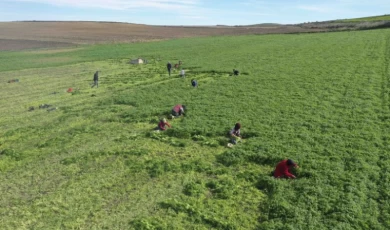 Kadın Kooperatifi küçük çiftçinin yanında